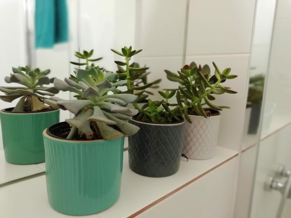 Suite Da Joaninha Caminha Esterno foto